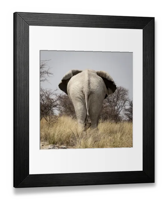 Framed Print : Africa, Namibia, Etosha National Park, Okerfontein Waterhole. Rear view of elephant