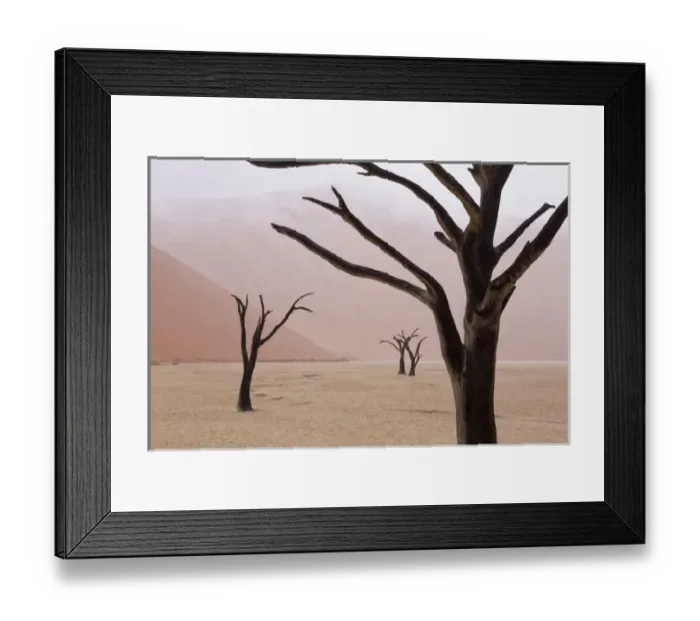 Framed Print : Africa, Namibia, Namib-Naukluft Park, Deadvlei. Unusual rainy weather conditions in early morning Framed Print : Africa, Namibia, Namib-Naukluft Park, Deadvlei. Unusual rainy weather conditions in early morning