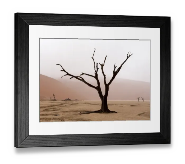 Framed Print : Africa, Namibia, Namib-Naukluft Park, Deadvlei. Unusual rainy weather conditions in early morning Framed Print : Africa, Namibia, Namib-Naukluft Park, Deadvlei. Unusual rainy weather conditions in early morning