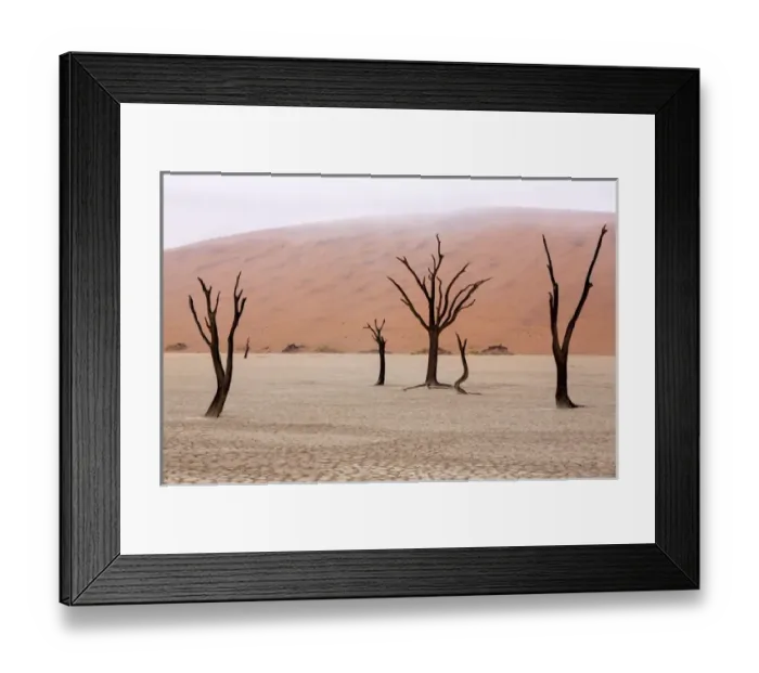Framed Print : Africa, Namibia, Namib-Naukluft Park, Deadvlei. Unusual rainy weather conditions in early morning