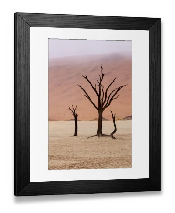 Framed Print : Africa, Namibia, Namib-Naukluft Park, Deadvlei. Unusual rainy weather conditions in early morning