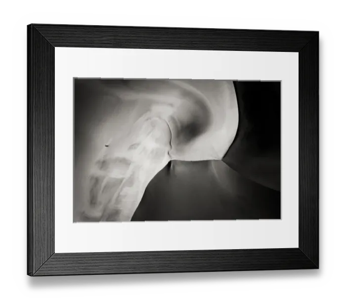 Framed Print : Africa, Namibia, Namib-Naukluft National Park. Aerial view of sand dunes. Credit as Framed Print : Africa, Namibia, Namib-Naukluft National Park. Aerial view of sand dunes. Credit as