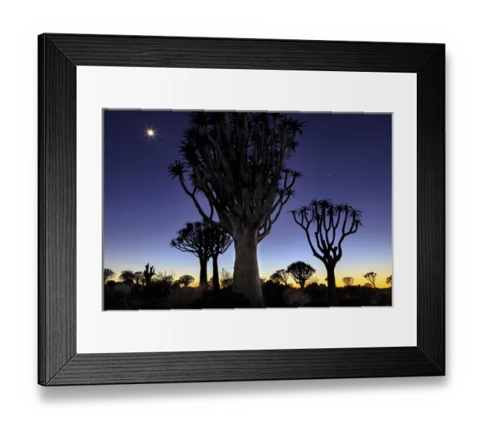 Framed Print : Africa, Namibia, Keetmanshoop. Quivertree Forest at sunrise