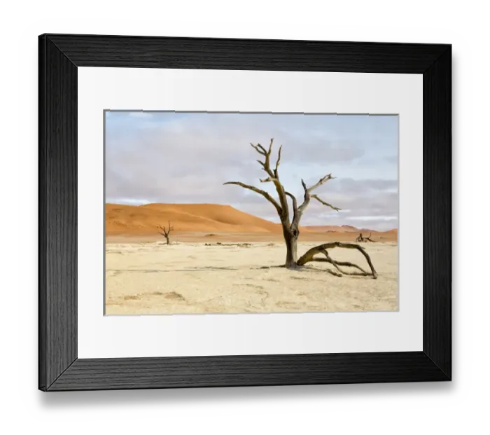 Framed Print : Africa, Namibia, Namib-Naukluft Park, Deadvlei. Dead tree and sand dunes. Credit as Framed Print : Africa, Namibia, Namib-Naukluft Park, Deadvlei. Dead tree and sand dunes. Credit as