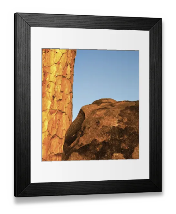 Framed Print : Africa, Namibia, Keetmanshoop. Quivertree and boulder Framed Print : Africa, Namibia, Keetmanshoop. Quivertree and boulder