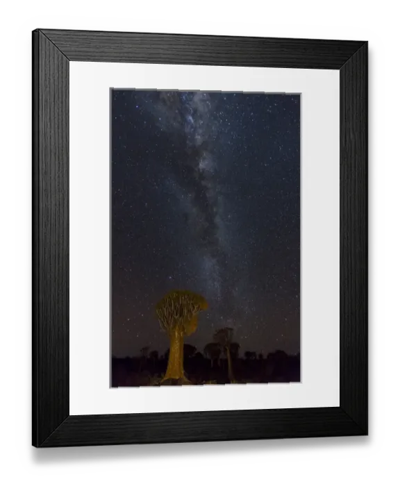 Framed Print : Africa, Namibia, Keetmanshoop. Quivertrees and Milky Way Framed Print : Africa, Namibia, Keetmanshoop. Quivertrees and Milky Way