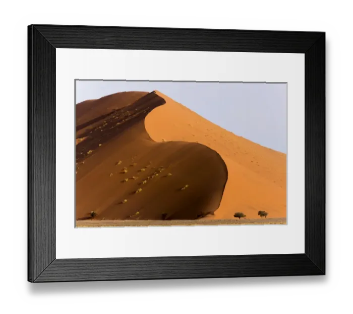 Framed Print : Africa, Namibia, Namib-Naukluft Park. Giant sand dune and trees