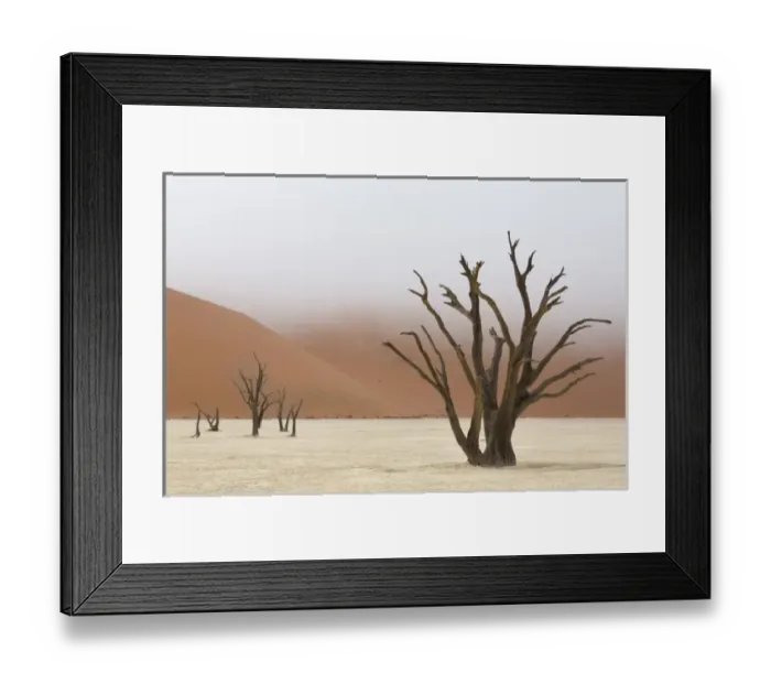 Framed Print : Africa, Namibia, Namib-Naukluft Park, Deadvlei. Dead camelthorn trees in fog. Credit as Framed Print : Africa, Namibia, Namib-Naukluft Park, Deadvlei. Dead camelthorn trees in fog. Credit as