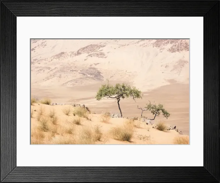 Framed Print : Africa, Namibia, Northwestern Namibia, Kaokoveld, Hartmanns Valley Framed Print : Africa, Namibia, Northwestern Namibia, Kaokoveld, Hartmanns Valley