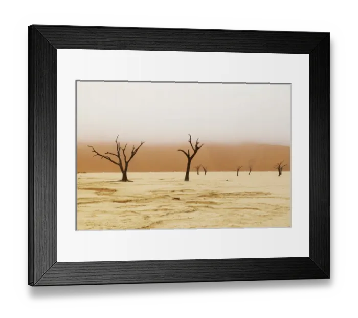 Framed Print : Africa; Namibia; Namib Desert, Namib-Naukluft National Park; Sossusvlei, Dead Vlei Framed Print : Africa; Namibia; Namib Desert, Namib-Naukluft National Park; Sossusvlei, Dead Vlei