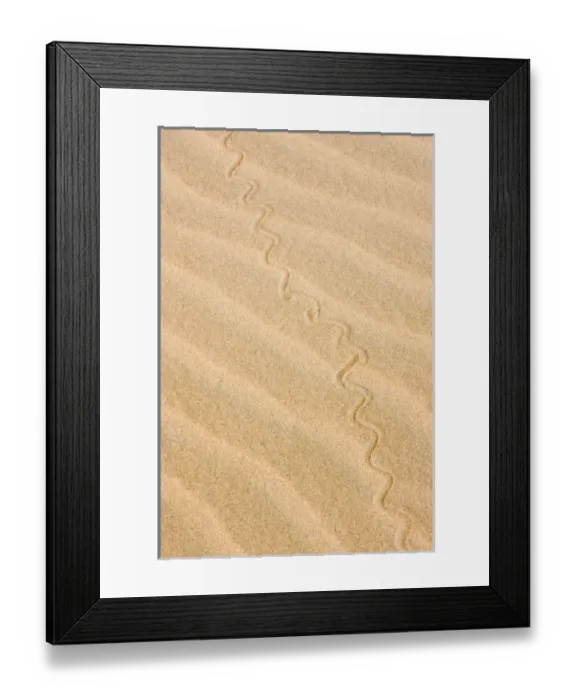 Framed Print : Africa, Namibia, Northwestern Namibia, Kaokoveld. Reptile pattern on a sand dune Framed Print : Africa, Namibia, Northwestern Namibia, Kaokoveld. Reptile pattern on a sand dune