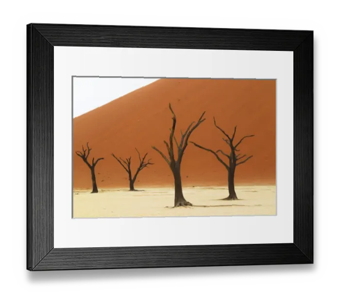 Framed Print : Africa; Namibia; Namib Desert, Namib-Naukluft National Park; Sossusvlei, Dead Vlei Framed Print : Africa; Namibia; Namib Desert, Namib-Naukluft National Park; Sossusvlei, Dead Vlei