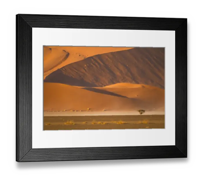 Framed Print : Africa, Namibia, Namib Desert, Namib-Naukluft National Park, Sossusvlei, camel thorn tree