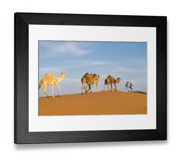 Framed Print : Morocco, Erg Chegaga (or Chigaga) is a Saharan sand dune (approximately 40 km to 15 km wide) Framed Print : Morocco, Erg Chegaga (or Chigaga) is a Saharan sand dune (approximately 40 km to 15 km wide)