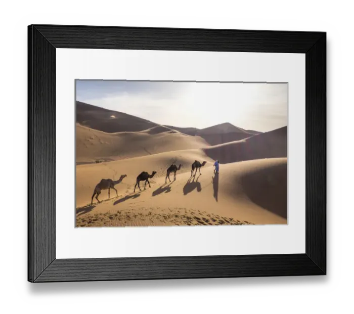 Framed Print : Morocco, Erg Chegaga (or Chigaga) is a Saharan sand dune (approximately 40 km to 15 km wide) Framed Print : Morocco, Erg Chegaga (or Chigaga) is a Saharan sand dune (approximately 40 km to 15 km wide)