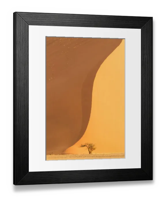 Framed Print : Africa, Namibia, Namib Desert, Namib-Naukluft National Park, Sossusvlei. A dead camel thorn tree