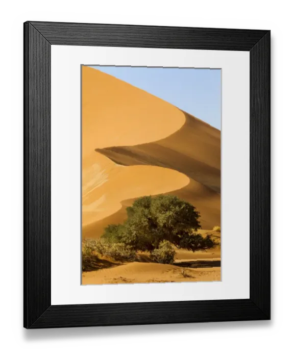 Framed Print : Africa, Namibia, Namib Desert, Namib-Naukluft National Park, Sossusvlei Framed Print : Africa, Namibia, Namib Desert, Namib-Naukluft National Park, Sossusvlei