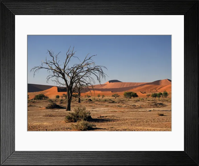 Framed Print : Africa, Namibia, Sossusvlei. Flora landscape of Sossusvlei