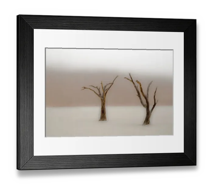 Framed Print : Africa; Namibia; Namib Desert, Namib-Naukluft National Park; Sossusvlei, Dead Vlei