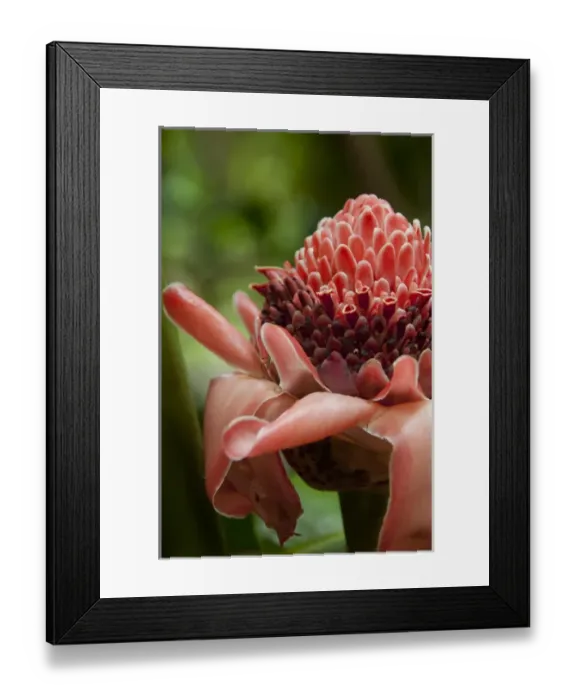 Framed Print : French Overseas territory, Reunion Island Framed Print : French Overseas territory, Reunion Island