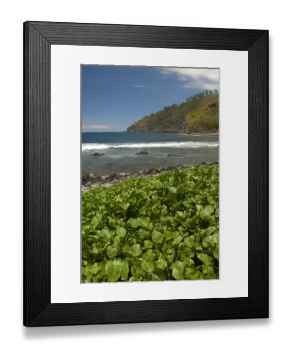 Framed Print : French Overseas territory (aka Francais d Outre Mer), Reunion Island Framed Print : French Overseas territory (aka Francais d Outre Mer), Reunion Island