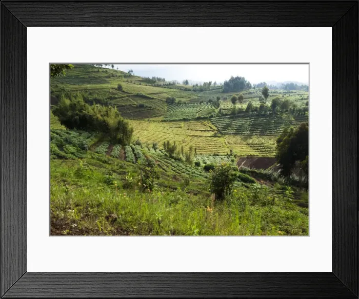 Framed Print : Africa, Rwanda, near Volcanoes National Park Framed Print : Africa, Rwanda, near Volcanoes National Park