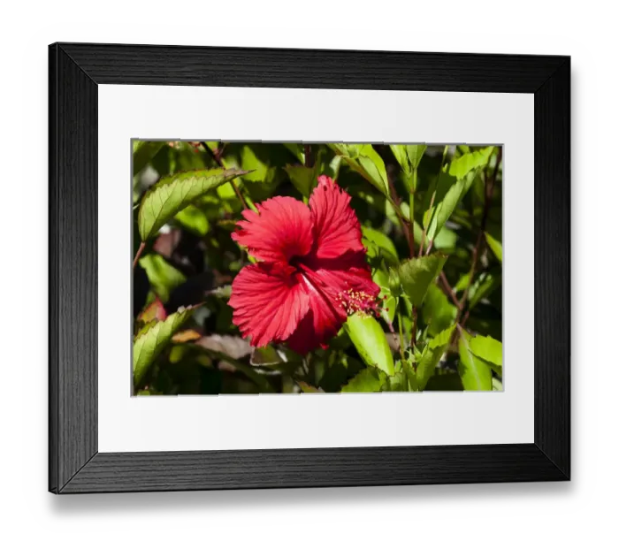 Framed Print : Fregate Island, Seychelles Framed Print : Fregate Island, Seychelles