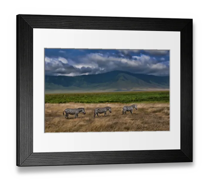 Framed Print : Tanzania Africa Ngorongoro Conservation Area crater with reserve and zebras animals