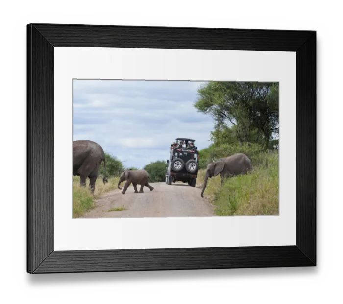 Framed Print : Tanzania Africa Tanangire National Park with safari vehicle with tourists enjoying
