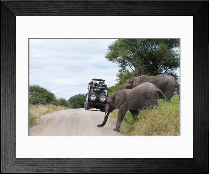 Framed Print : Tanzania Africa Tanangire National Park with safari vehicle with tourists enjoying