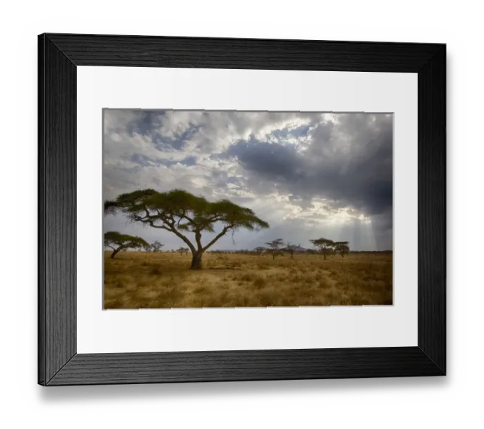 Framed Print : Africa. Tanzania. Views of the savanna in Serengeti NP