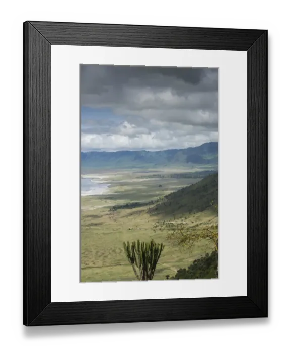 Framed Print : Tanzania, candelabra Framed Print : Tanzania, candelabra