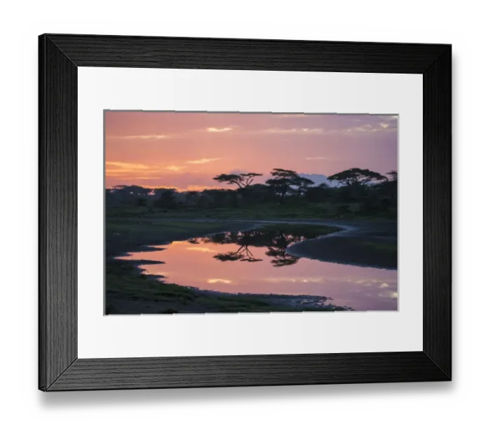 Framed Print : Africa. Tanzania. Morning sunrise at Ndutu in Serengeti NP