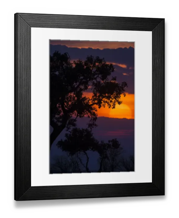Framed Print : Africa. Tanzania. Colorful setting sun in Serengeti NP