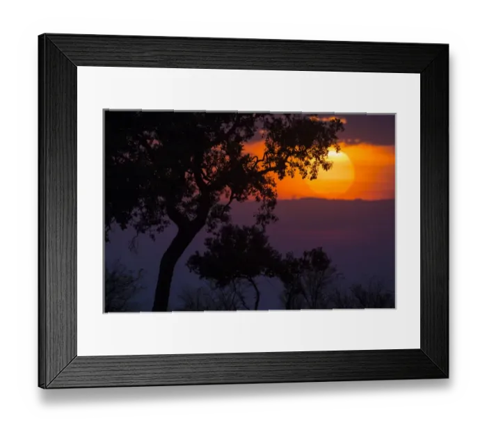Framed Print : Africa. Tanzania. Colorful setting sun in Serengeti NP