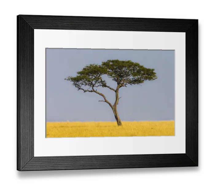 Framed Print : Africa. Tanzania. Views of the savanna in Serengeti NP Framed Print : Africa. Tanzania. Views of the savanna in Serengeti NP