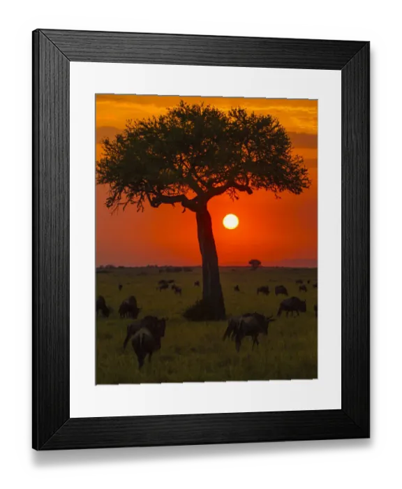 Framed Print : Africa. Tanzania. Colorful setting sun in Serengeti NP