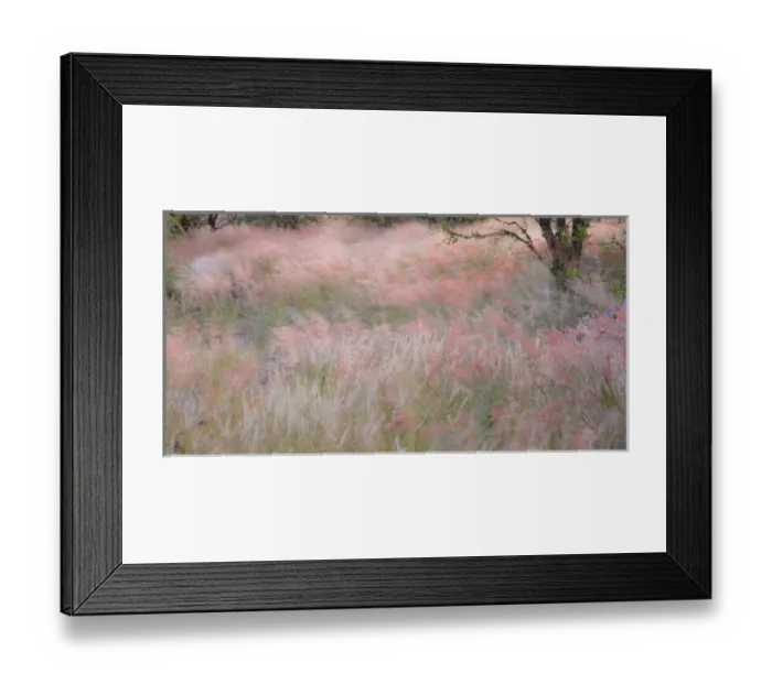 Framed Print : Africa, Namibia, Etosha National Park. Red grasses moving in the wind. Credit as Framed Print : Africa, Namibia, Etosha National Park. Red grasses moving in the wind. Credit as