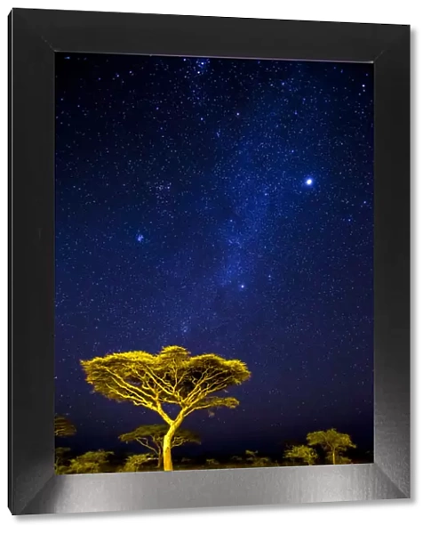 Africa. Tanzania. Stars of the Milky Way illuminate the night sky at Ndutu in Serengetti