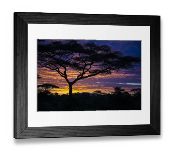 Framed Print : Africa. Tanzania. Morning sunrise at Ndutu in Serengeti NP