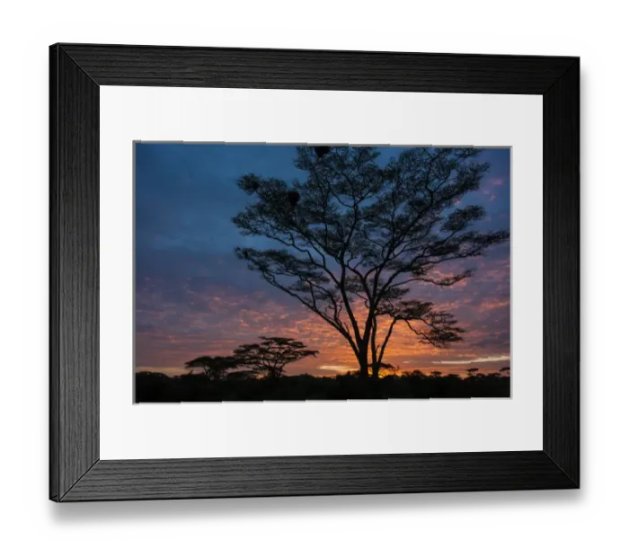 Framed Print : Africa. Tanzania. Morning sunrise at Ndutu in Serengeti NP Framed Print : Africa. Tanzania. Morning sunrise at Ndutu in Serengeti NP