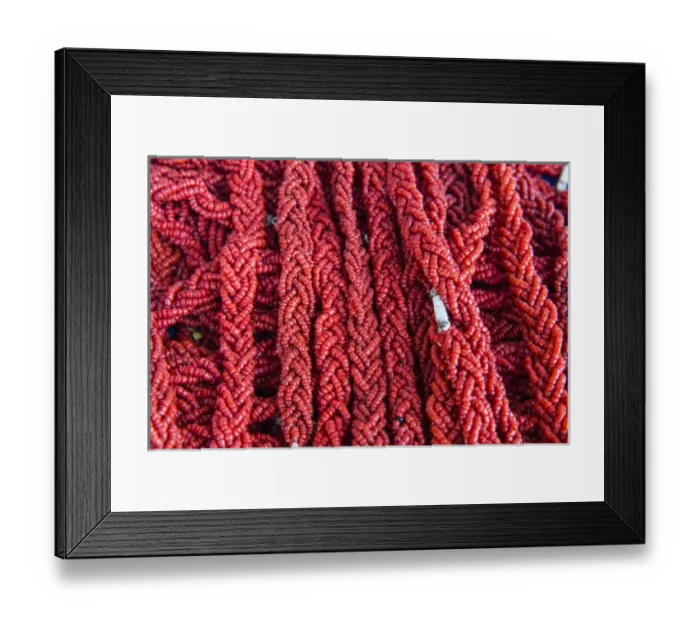Framed Print : Coral Necklaces, Tabarka, Tunisia, North Africa, Africa Framed Print : Coral Necklaces, Tabarka, Tunisia, North Africa, Africa