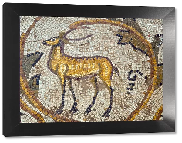 Deer mosaic, New House Of Hunt, Bulla Regia Archaeological Site, Tunisia, North Africa