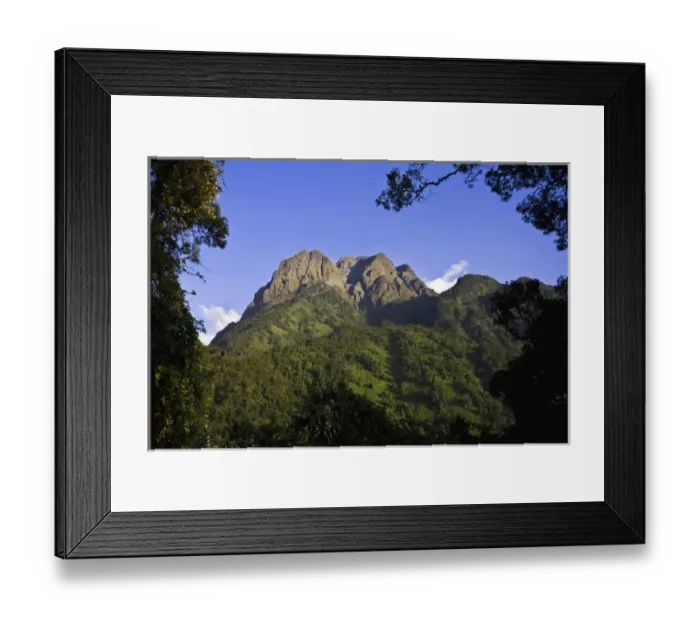 Framed Print : The Portal Peaks in the Rwenzori, Uganda. The Rwenzori Mountain Range is a National Park Framed Print : The Portal Peaks in the Rwenzori, Uganda. The Rwenzori Mountain Range is a National Park