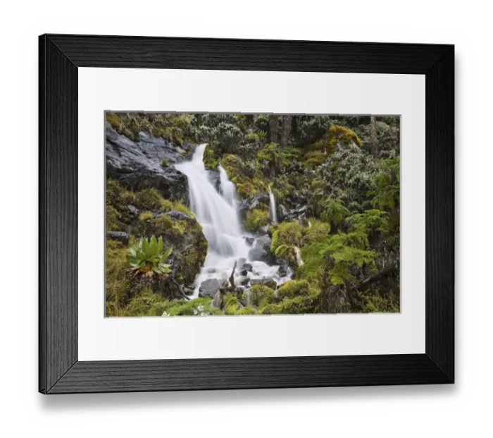 Framed Print : Waterfall at Mount Stanley, Ruwenzori, Uganda
