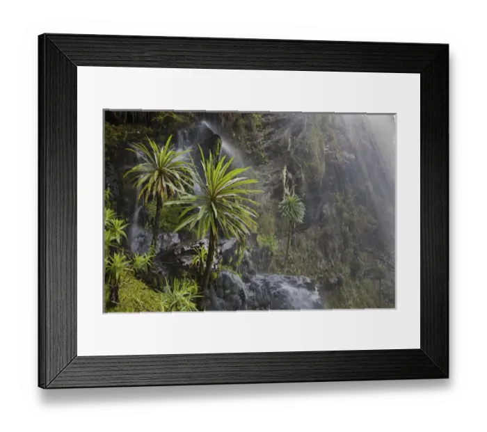 Framed Print : Waterfall at Mount Stanley, Ruwenzori, Uganda Framed Print : Waterfall at Mount Stanley, Ruwenzori, Uganda