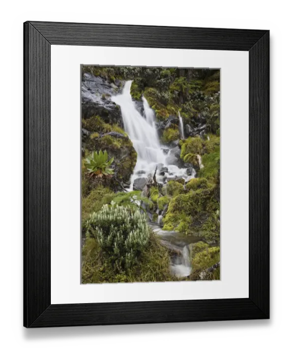 Framed Print : Waterfall at Mount Stanley, Ruwenzori, Uganda