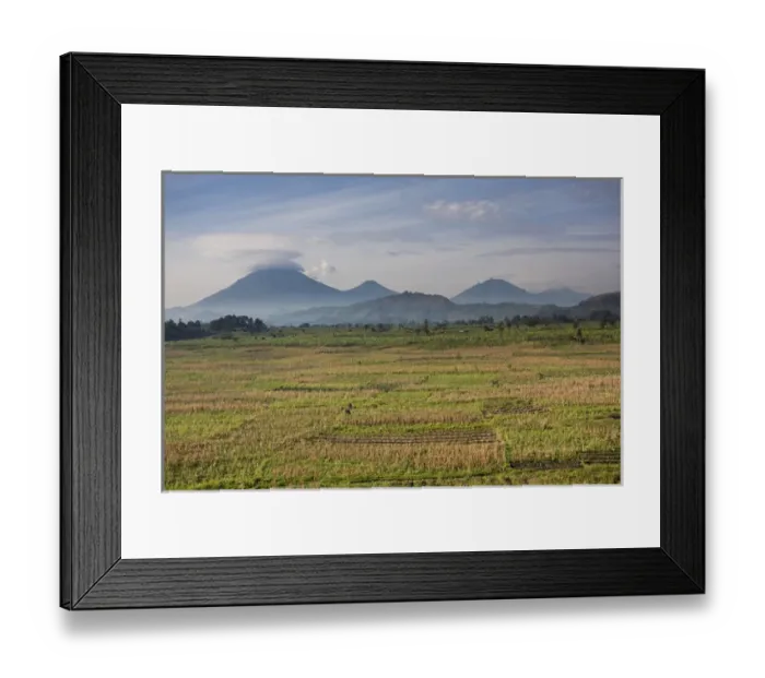 Framed Print : Landscapes around Kisoro, Kigezi. This area is densly populated and intensivly farmed Framed Print : Landscapes around Kisoro, Kigezi. This area is densly populated and intensivly farmed