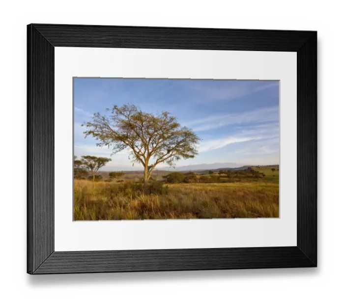Framed Print : The Crater Area in Queen Elizabeth National Park with view of the Rwenzori (Ruwenzori) Mountains Framed Print : The Crater Area in Queen Elizabeth National Park with view of the Rwenzori (Ruwenzori) Mountains