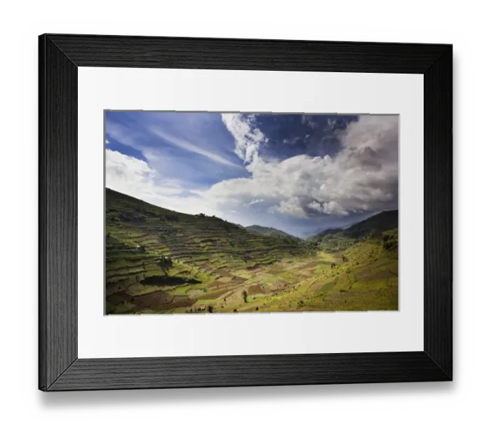 Framed Print : Landscapes around Kisoro, Kigezi. This area is densly populated and intensivly farmed Framed Print : Landscapes around Kisoro, Kigezi. This area is densly populated and intensivly farmed